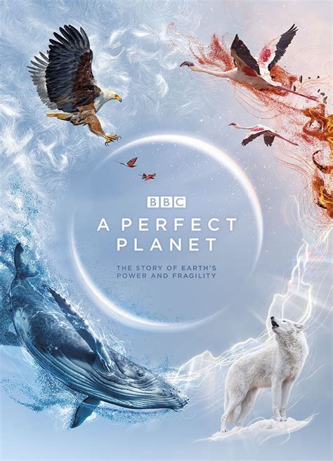 a perfect planet limetorrents|完美星球[共5部合集][国英/简繁字 .